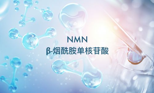 衛(wèi)健委正式受理成為食品添加劑，NMN領(lǐng)跑2023已成定局