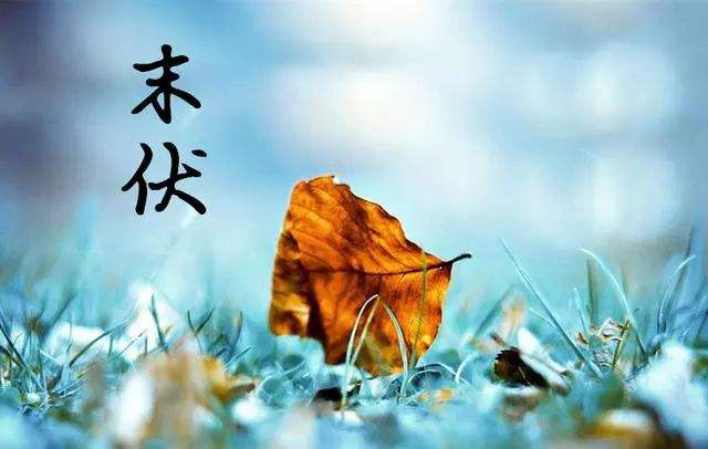 “秋老虎”來襲，如何養(yǎng)生？